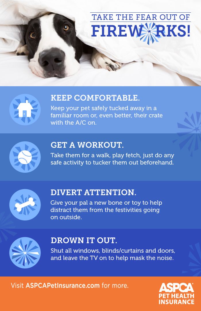 ksmutthut's tweet photo. With the #4thofJuly is only two days away, here are some tips to keep your pup #safe and #happy during the holiday! 🎆🐶💕 #fireworks #4thofjulyweekend #petsafety #Brenham #Texas https://t.co/nYdGgziekm