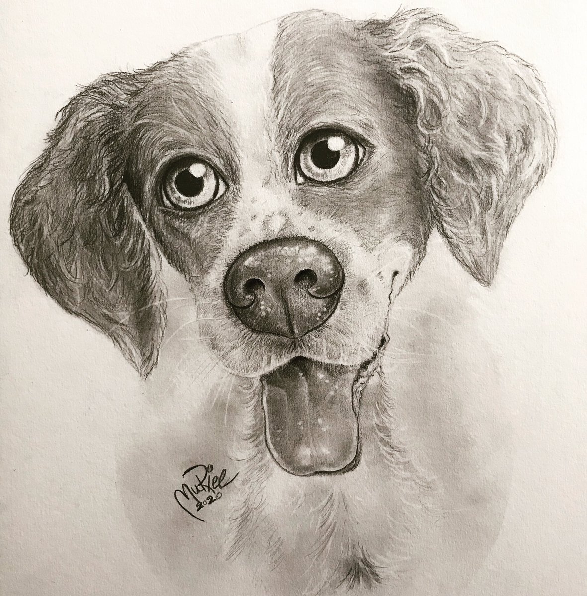 MurielPerondi's tweet photo. Drawing a cute puppy 🐶 ❤️
#dogportrait in #traditionalart #drawing #art #pencil #sketch #disegno #artetradizionale di un #cane
#artista #caricaturista #loveart #arteinquarantena #illustration #follo4folloback thanks 😊 #grazie https://t.co/mKh2mQzL5d