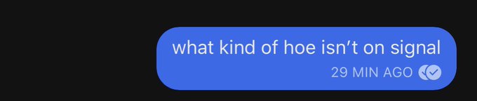 s*gnal isn&rsquo;t as secure as u think it is but it&rsquo;s more secure than whatever else (no shade to my phone