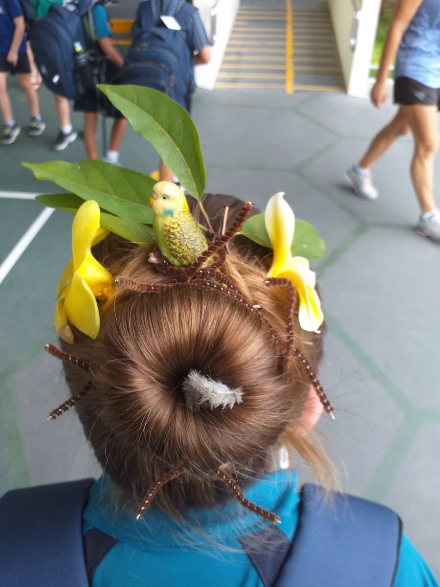 KerrylHowarth's tweet photo. How do you end a term of Home Based Learning and School Based Learning under social distancing measures? With Crazy Hair Day of course. Thank you Year 5 for making this happen. #weareAIS #Cognitaway https://t.co/rvQ63yb6ua