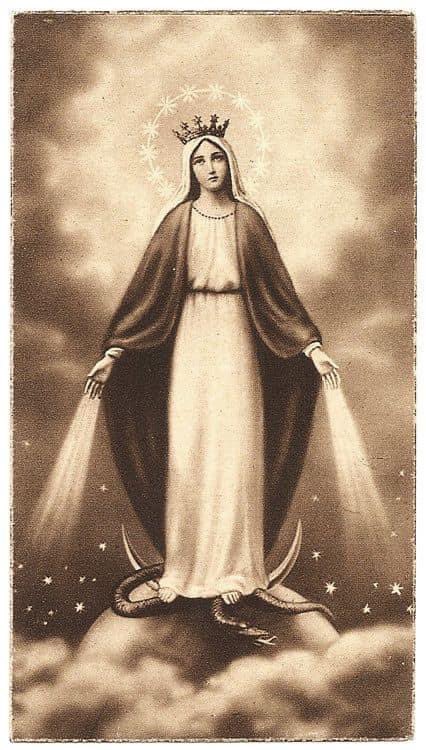 HealingTrilogy's tweet photo. My thoughts are purely love. #thankyouGod #gratitude #mothermary #prayingforme #fridaymorning #kimberlymeredith https://t.co/YFZyZs60W7