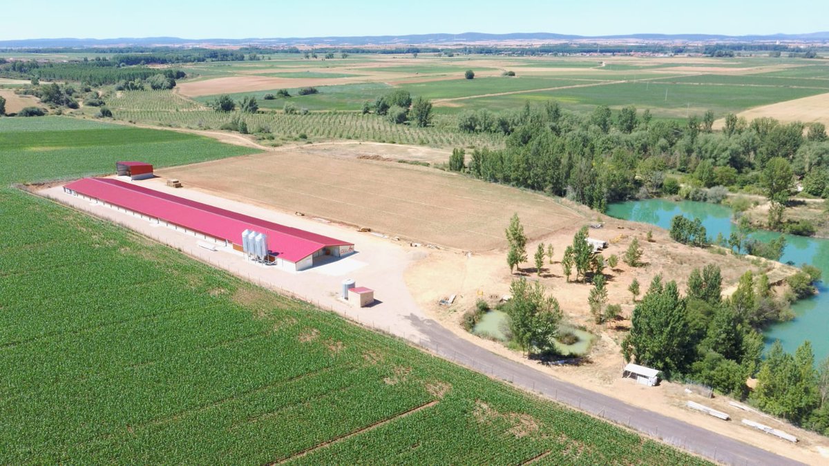 EXAFAN_oficial's tweet photo. ¡Menudas vistas aéreas nos llegan de una nueva #granja de #pollos en Castilla y León! 😍 Si os gusta lo que veis y queréis saber más de este proyecto llave en mano de #EXAFAN, no podéis perderos el próximo número de la revista @aviNewsESP. https://t.co/uyUj5FfK3Q