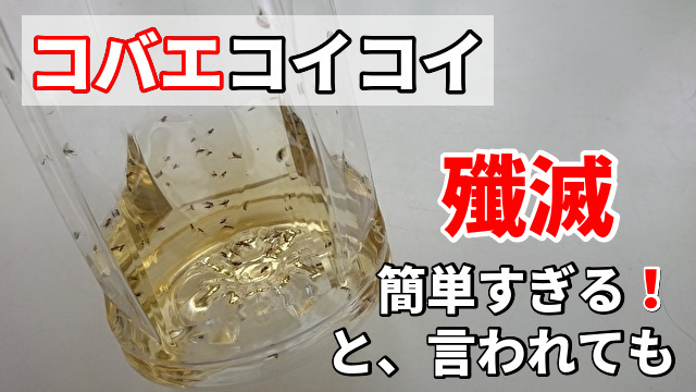 退治 法 コバエ トイレに大量発生するコバエの駆除は水回りの掃除・駆除剤での対処がカギ