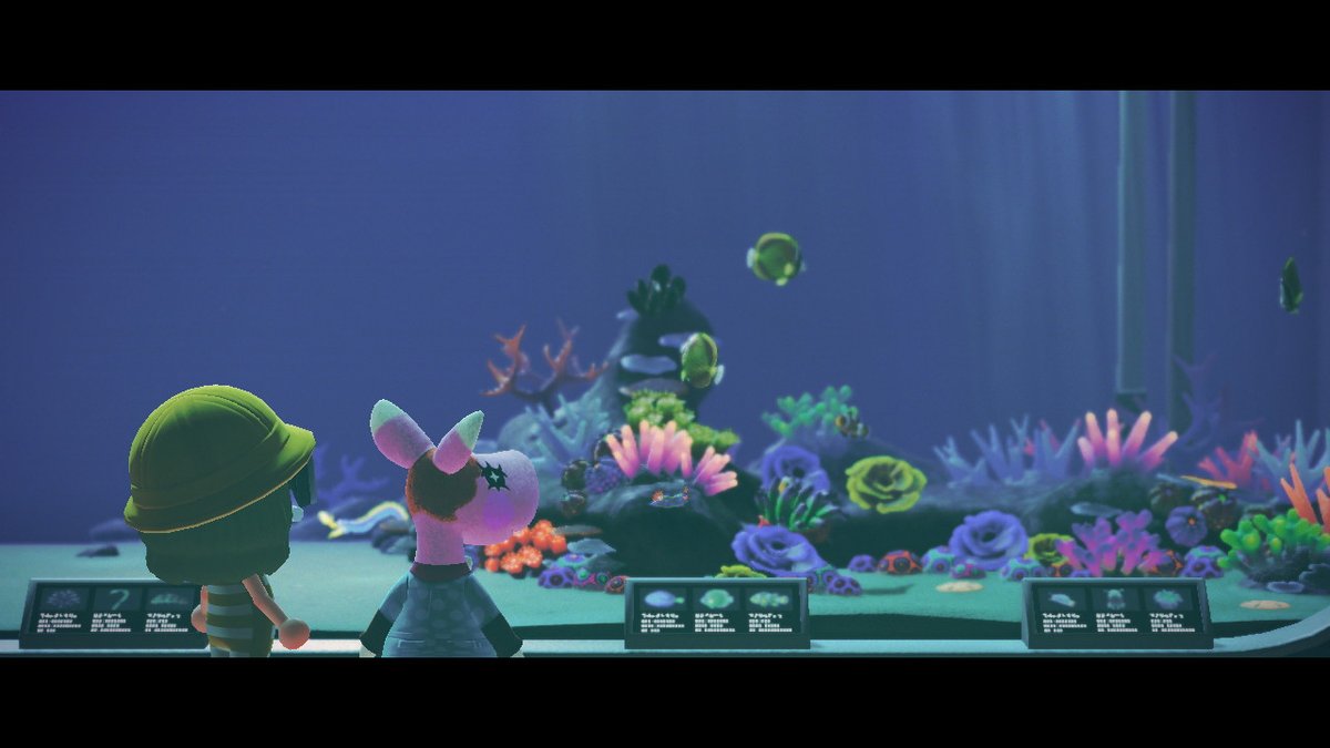 #あつまれどうぶつの森 #AnimalCrossing #ACNH #NintendoSwitch
#海開き
今年は
海にいけないからあつ森で海の幸収穫会してきた! ! 

あいにくの雨模様だったけど黄色いマリンスーツで
コーディネートできてる( ; - ; )♡