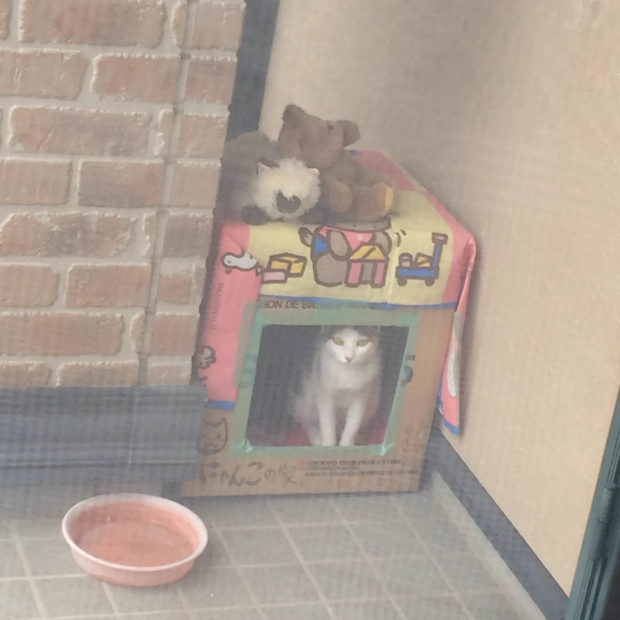 @NACHA305 @kumanuk FF外から失礼します。
にゃんこほいほい
　　　↓
家猫6年目
うちもやってました。 