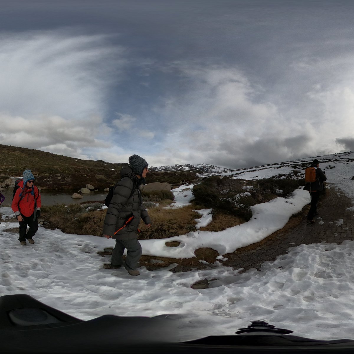 UNSW Science tweet media