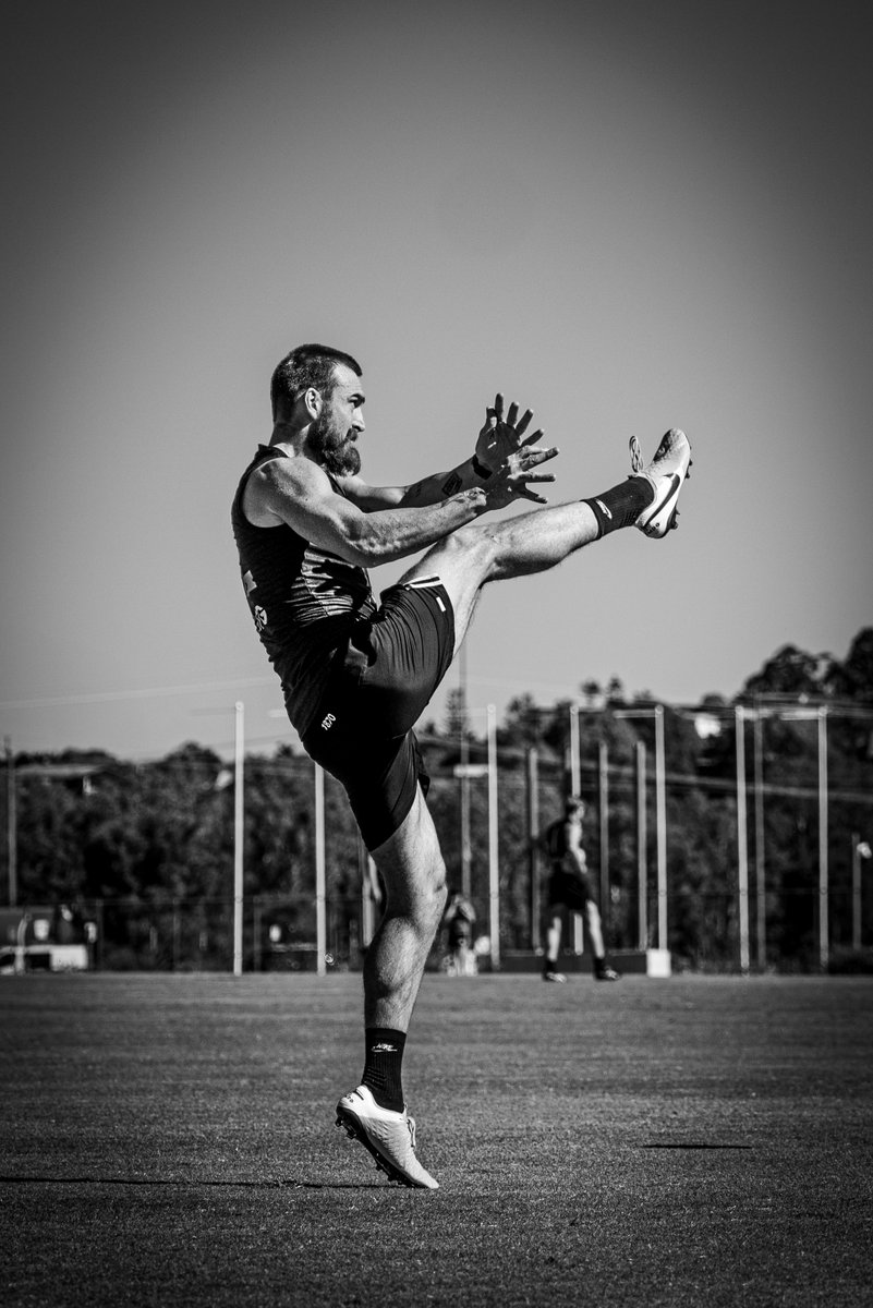 Colossus 🦖 #weareportadelaide