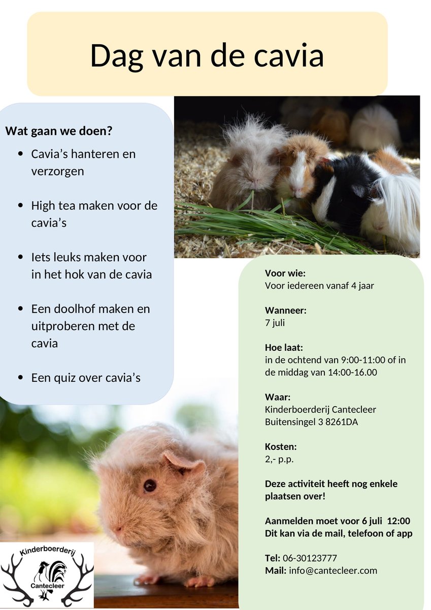 🌤Zomeractiviteiten bij de Cantecleer🌤
✅Volgende week dinsdag 7 juli. Dag van de Cavia.
✅Er zijn nog plaatsen beschikbaar.
✅Kun je niet die dag? Er zijn veel meer activiteiten!
🌍cantecleer.com/zomeractivitei…
