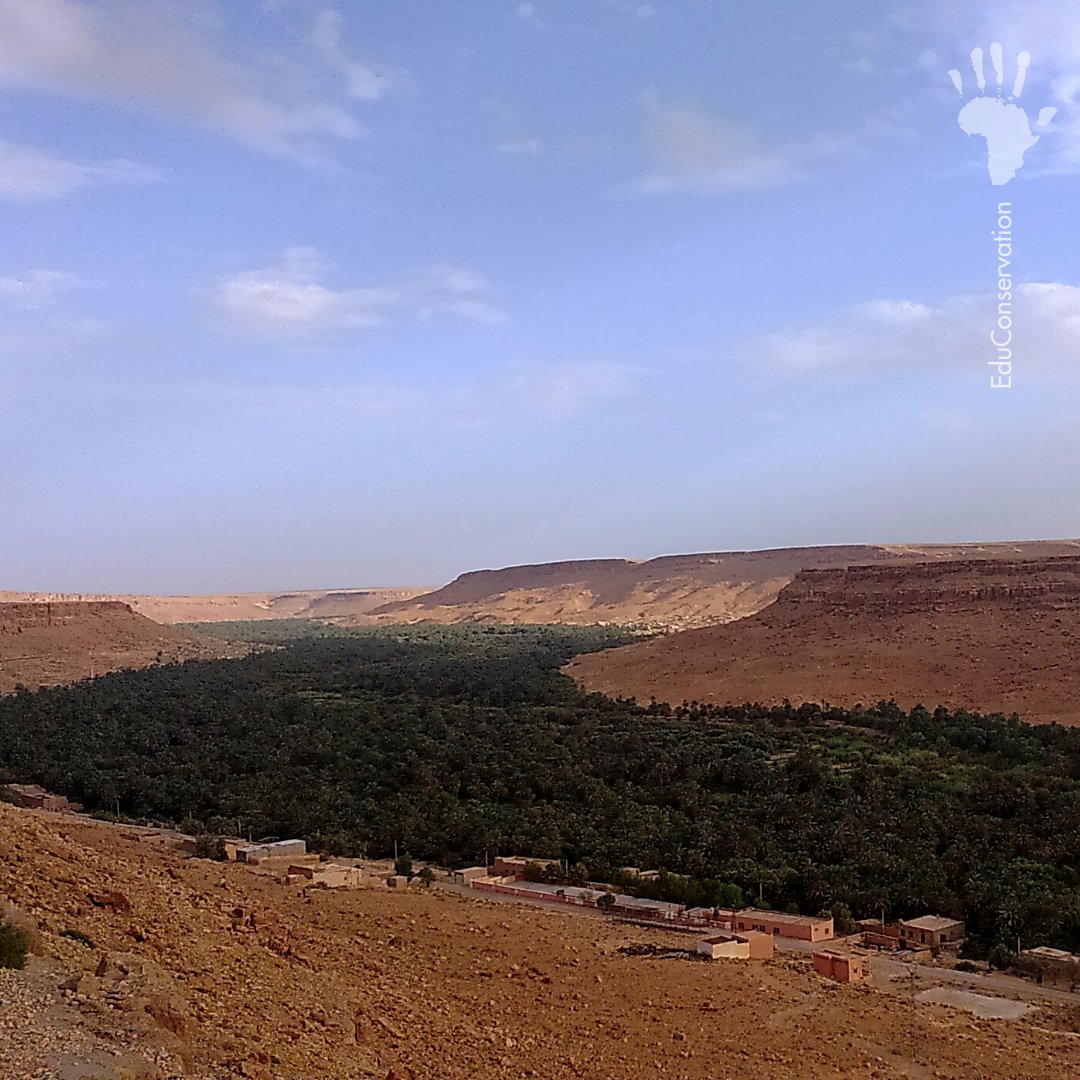 EduConservation's tweet photo. #Morocco
[FR] 🇲🇦 Découvrez le Maroc, un de nos Pays Pilotes
.
.
[EN] 🇲🇦 Meet Morocco, one of our Pilot Countries
.
.
#Education #Conservation #Africa #africadiaspora #africayouth #kidsofafrica #noplanetb #nature #earth #learning #knowledgeispower https://t.co/Mk1RTvdMll