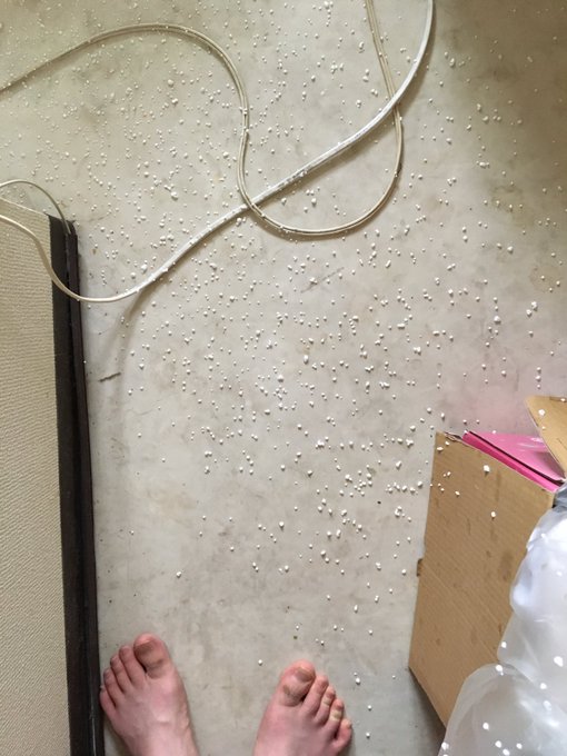 @surugakreuz 床ぎ一面クリームまみれ... 