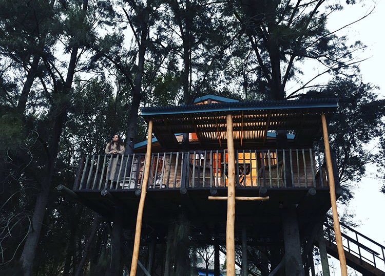 VindouxFarm's tweet photo. @lonelyplanet Glamping @VindouxFarm https://t.co/G7DIEGcHTf