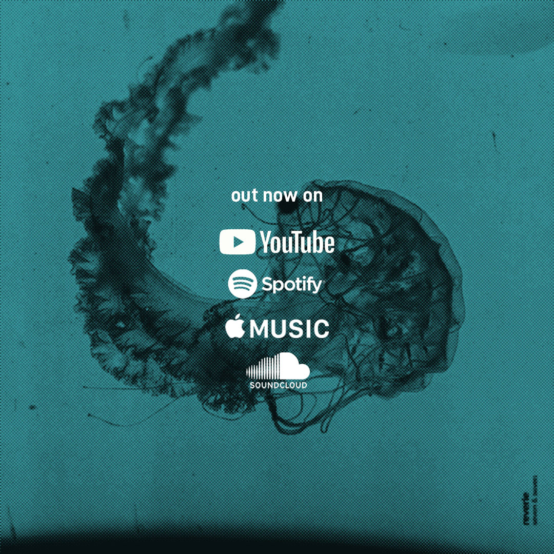 reverie out now!
fanlink.to/sevenandsevenr…