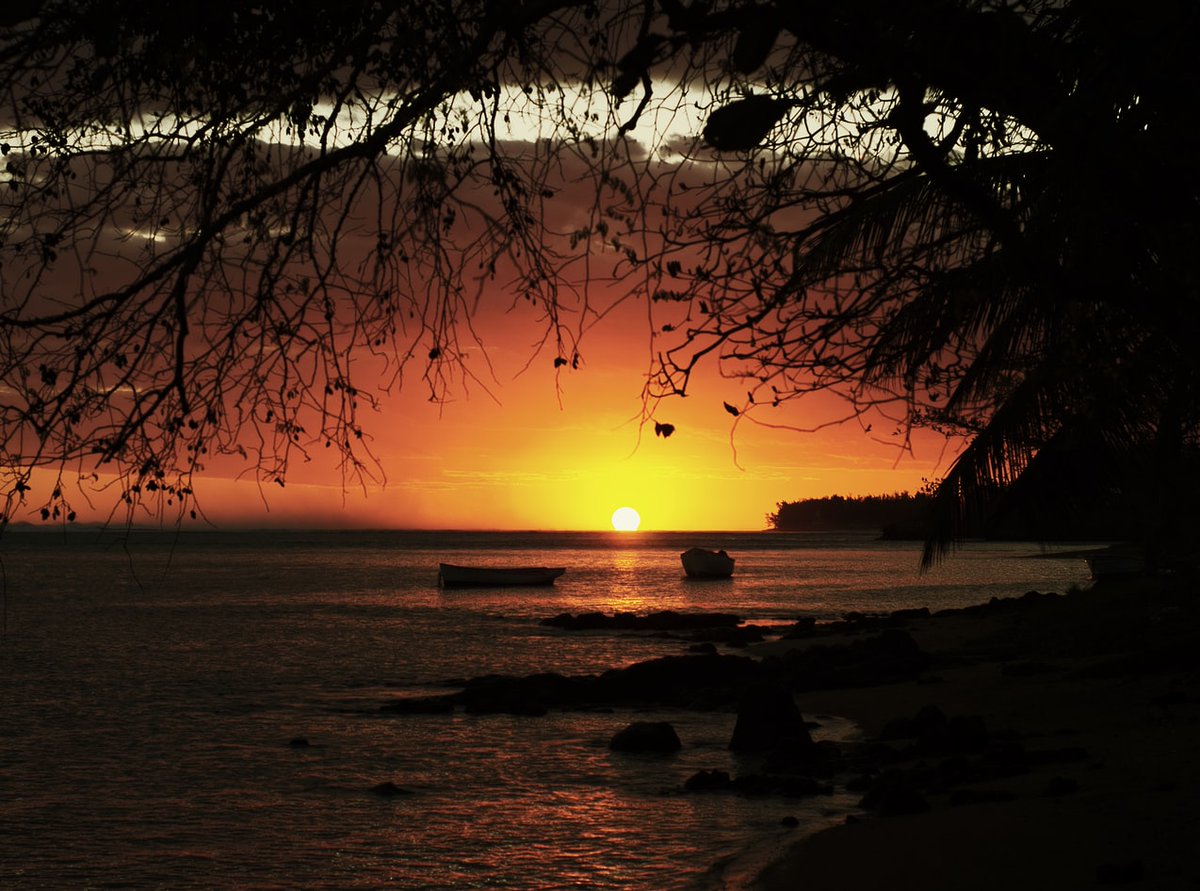 2) Your days are certainly full, but there is a magical moment that you should take advantage of, for your valuable activities. The 2 magical hours begin around 5 in the morning; you are full of energy; nobody disturbs you and the air and colors of the sunrise are magnificent.