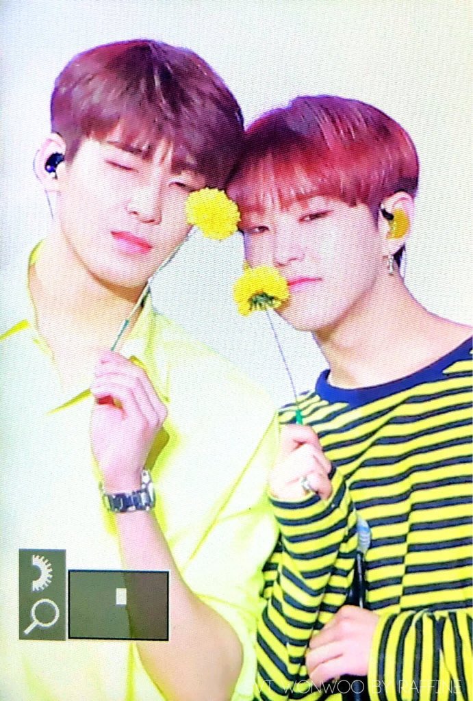 — they're completely opposites and that what makes them complete their very own puzzle. best friends do think alike  #soonwoo  #wonhosh