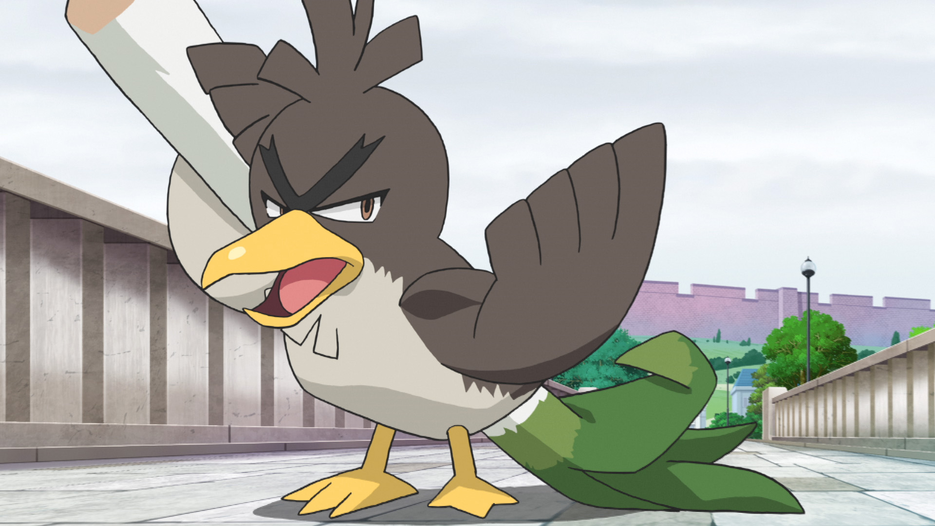 アニメ ポケットモンスター 公式 アニポケ 豆知識 リージョンフォーム とは 同じポケモンでも 生まれた場所や育った環境で その姿に違いが出ます 第27話では カモネギ ガラルのすがた が登場 ふとくてながいネギを持ち キリリとした