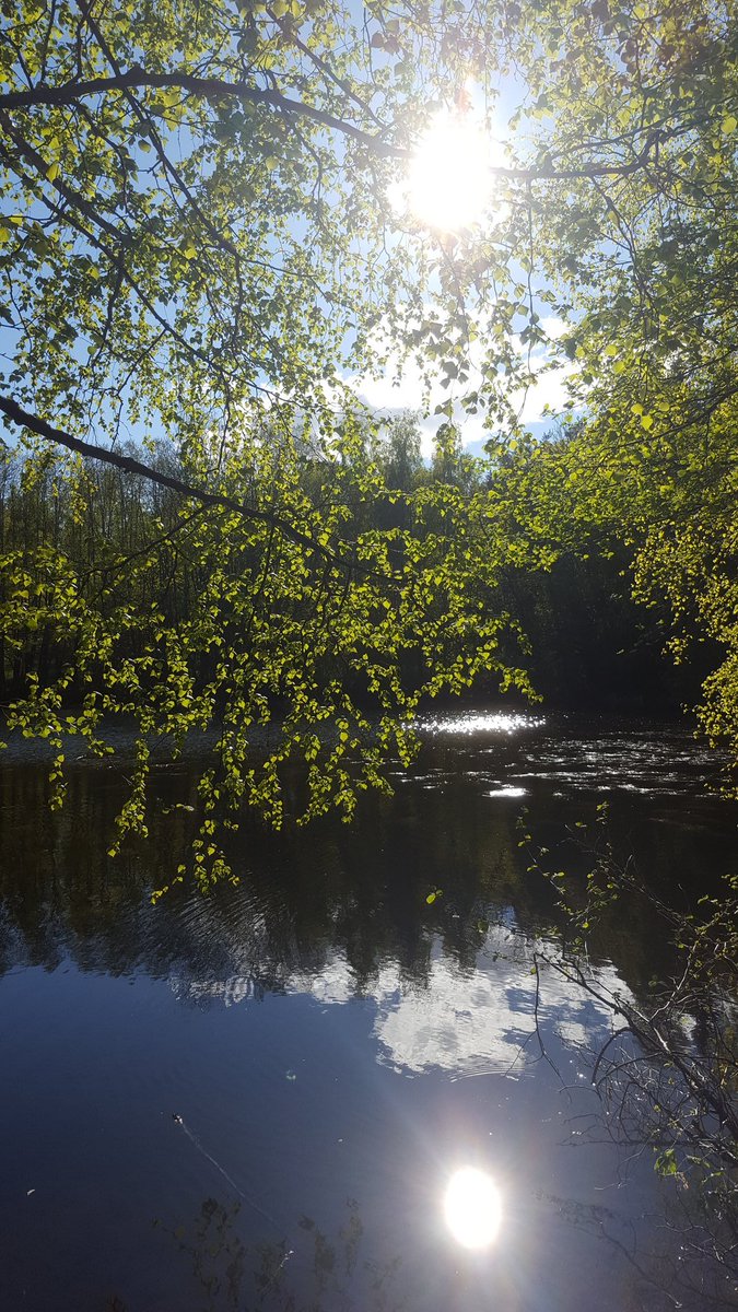 microwaveJS's tweet photo. @zhehgowian These pics I took remind me of a chiller time https://t.co/JtDzacJIJQ