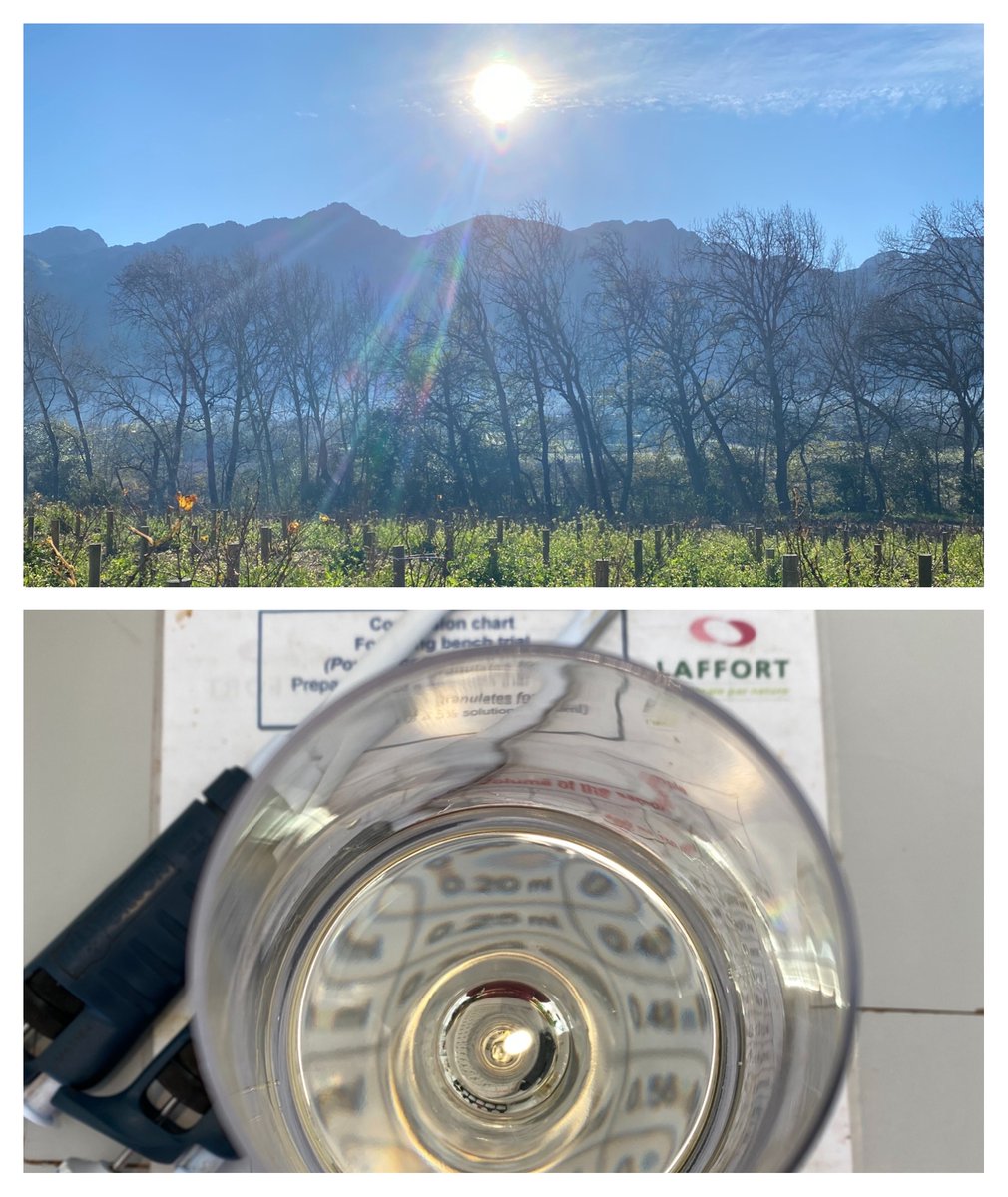 Laffort South Africa tweet media