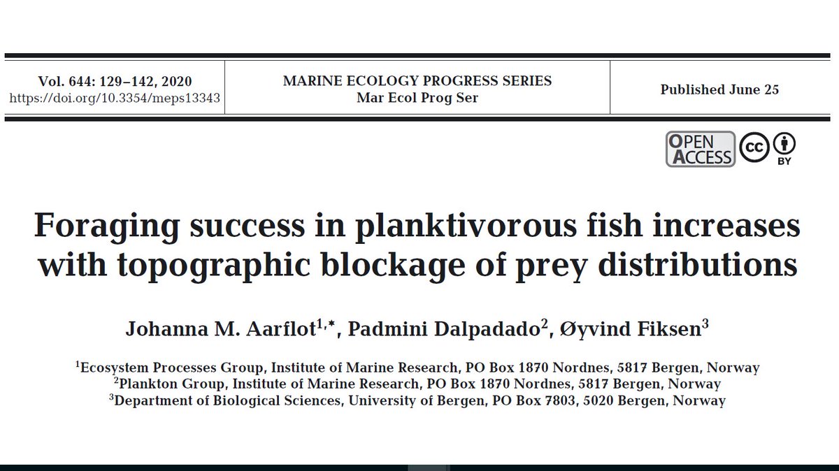 Johanna Aarflot (@jaarflot) on Twitter photo Shallow bathymetry blocks zooplankton from migrating into deeper (darker) water, which increases feeding success in planktivorous fish! Demonstrated in our new paper: doi.org/10.3354/meps13… Co-authors <a href="/OyvindFiksen/">Øyvind Fiksen</a> and Padmini Dalpadado. Shallow bathymetry blocks zooplankton from migrating into deeper (darker) water, which increases feeding success in planktivorous fish! Demonstrated in our new paper: doi.org/10.3354/meps13… Co-authors <a href="/OyvindFiksen/">Øyvind Fiksen</a> and Padmini Dalpadado.