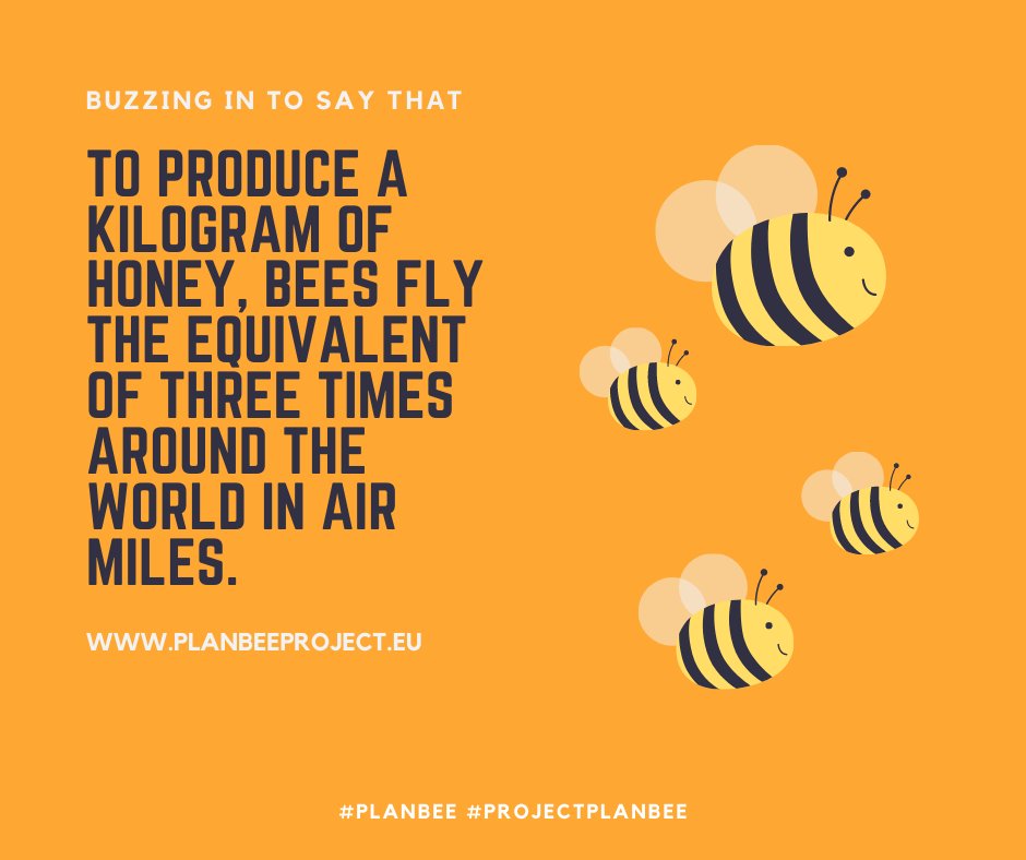 CcsFunded's tweet image. Where trees and woods are essential to filter our air, #bees and sustainable #beekeeping are vital for both the food and trees we need to survive 🐝🐝 #PlanBee #projectPlanBee

Visit our official website 👉 projectplanbee.eu 🌎