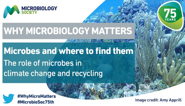 MicrobioSoc's tweet image. Today marks the beginning of #LCAW2020. Learn more about the role of #microbes in #ClimateChange and #recycling and #WhyMicroMatters. microb.io/371rHk0 #MicroGlobalChallenges.