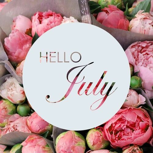 MinouChrystayl's tweet photo. Hello july , hello juillet !
pour ce nouveau mois , beaucoup d'amour et de paix. 🌹♥️
#HelloJULY
#hellojuillet https://t.co/3IXs4H5lJ9