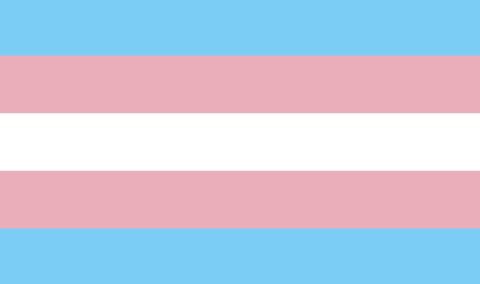 transgender flag as bubblegum flavor!
