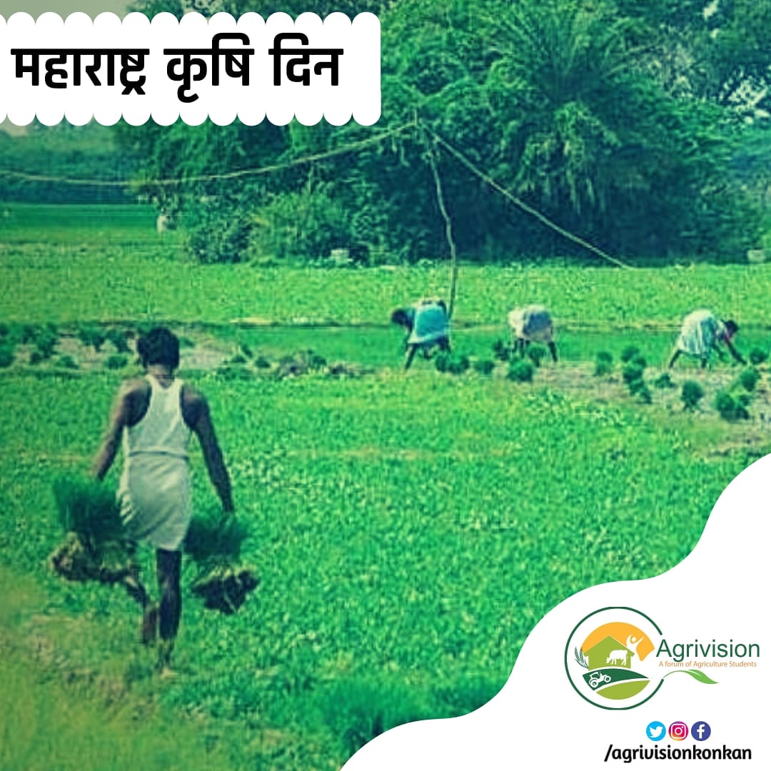 AgrivisionK's tweet photo. घाम गाळून काळ्या मातीत पिकवतो

मोती जगाचा पोशिंदा स्वत:ला म्हणवितो

महाराष्ट्र कृषी दिनाच्या हार्दिक शुभेच्छा!

#जगाचा_पोशिंदा #शेतकरी #महाराष्ट्र_कृषी_दिन https://t.co/RN0IbFXCbi