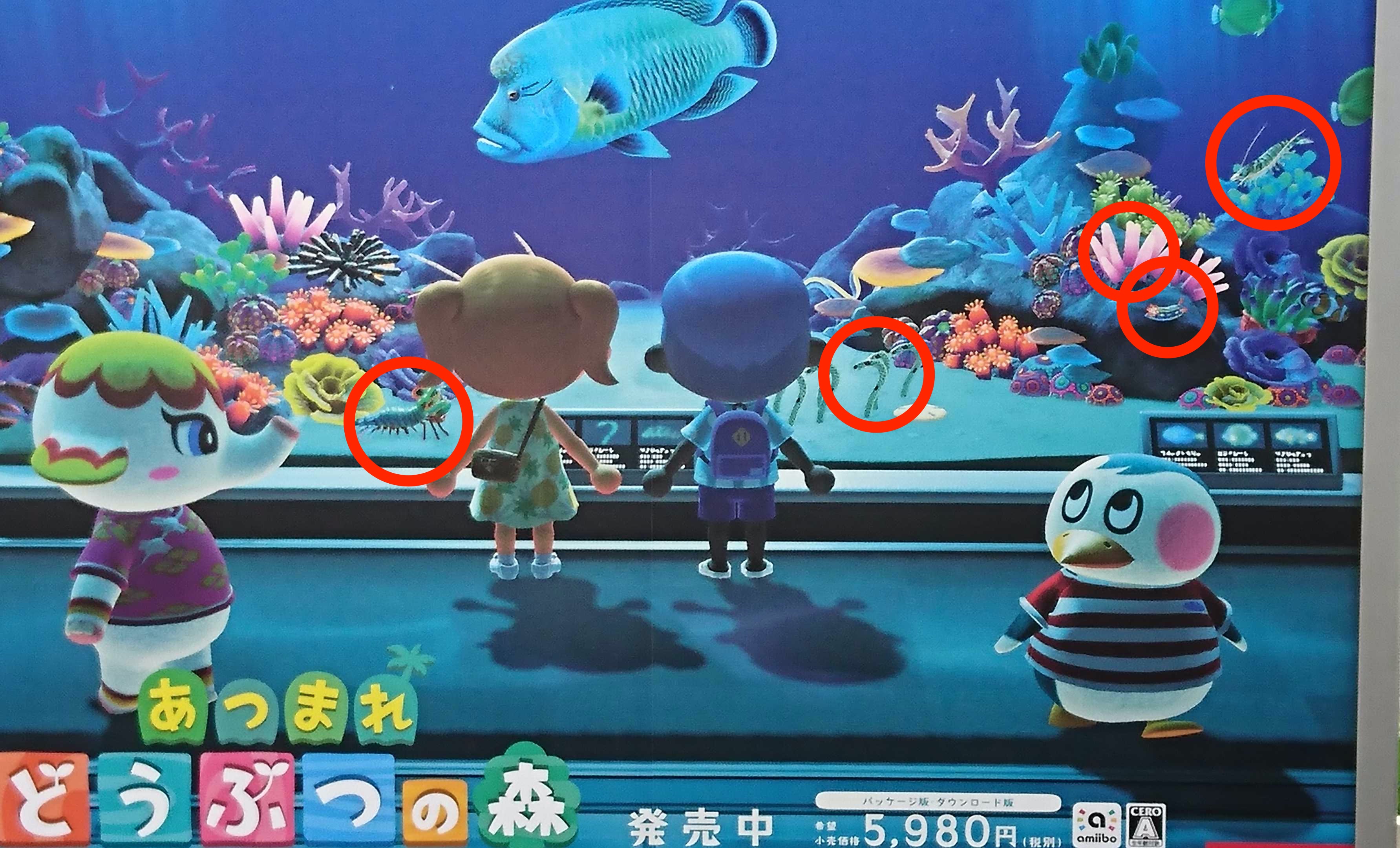 あつ森攻略 Gamewith 偶然駅に あつ森 のポスターが ダイレクトでは見れなかった クルマエビ や ナマコ も登場するようですね とび森 で出現した海の幸も出るということは 30種類くらいはある あつ森 あつまれどうぶつの森 Acnh