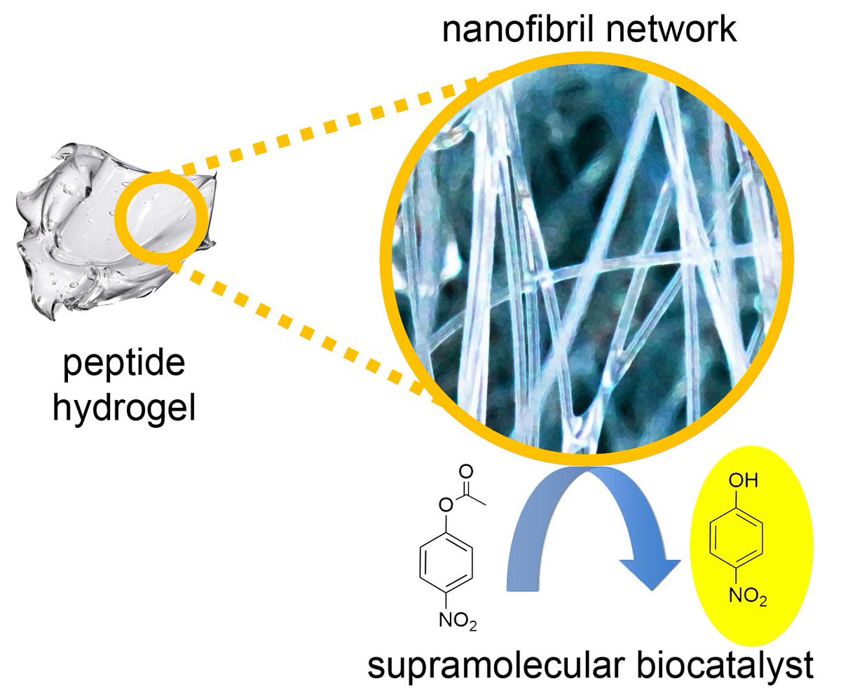 Molecules MDPI (@molecules_mdpi) on Twitter photo #mdpimolecules Biocatalysis of D,L-Peptide Nanofibrillar Hydrogel mdpi.com/1420-3049/25/1… #biocatalysis #fibrils #hydrogel #selfassembly #supramolecularmaterial #peptide #mdpimolecules Biocatalysis of D,L-Peptide Nanofibrillar Hydrogel mdpi.com/1420-3049/25/1… #biocatalysis #fibrils #hydrogel #selfassembly #supramolecularmaterial #peptide
