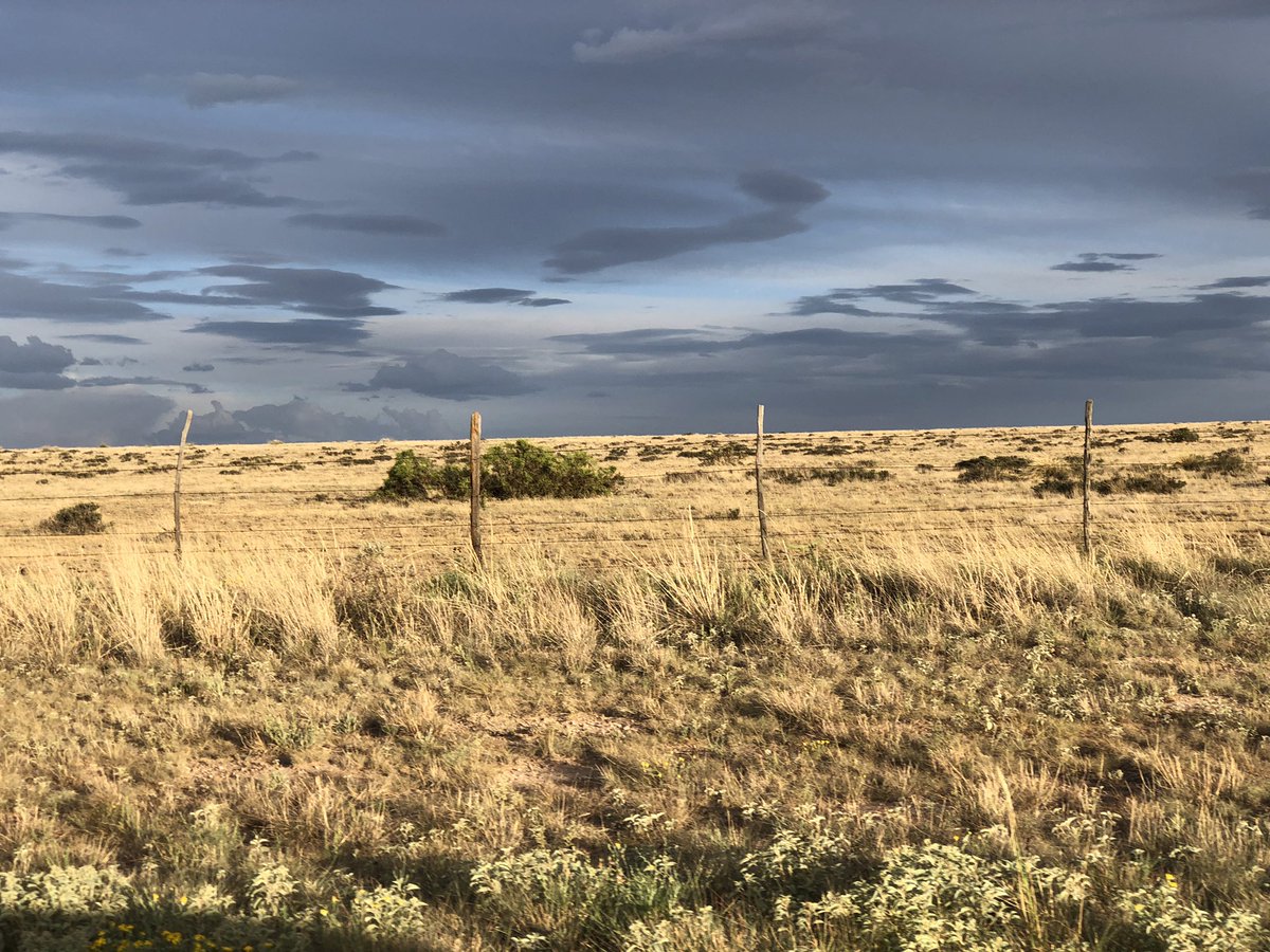 I don’t think I’ve had this much adrenaline pumping through me since my road trip across Africa. Things started out innocent. The last 32 miles before the road ended, and turned into a loose gravel road descending into pinto canyon, were lovely.