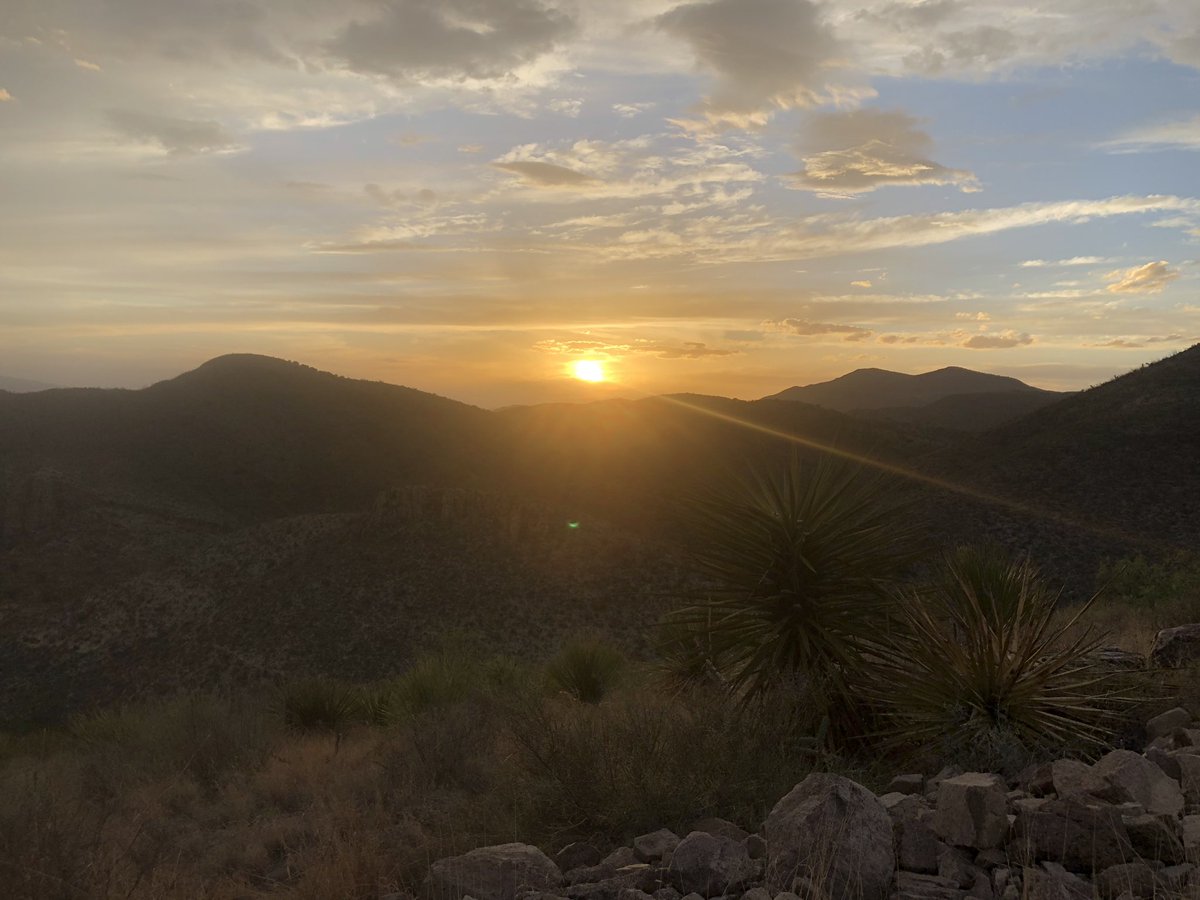 I was told that I would know when to turn back. And I knew I had to be careful, because I’m in a low profile rented Dodge Charger. Not a vehicle for rocky canyon descent. I was also told not to get into trouble bc there are no ppl that far out and no cell service. Just smugglers