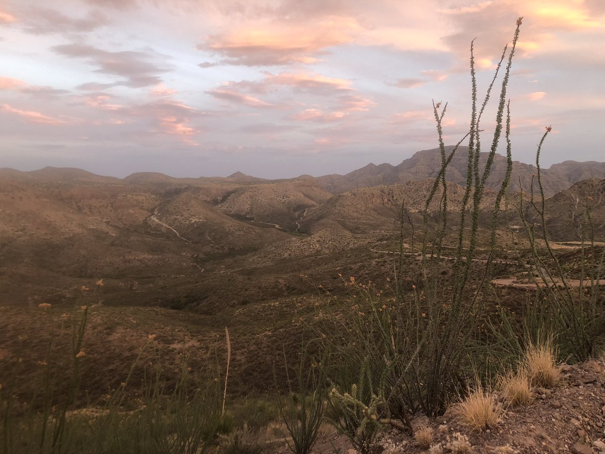 I was told that I would know when to turn back. And I knew I had to be careful, because I’m in a low profile rented Dodge Charger. Not a vehicle for rocky canyon descent. I was also told not to get into trouble bc there are no ppl that far out and no cell service. Just smugglers