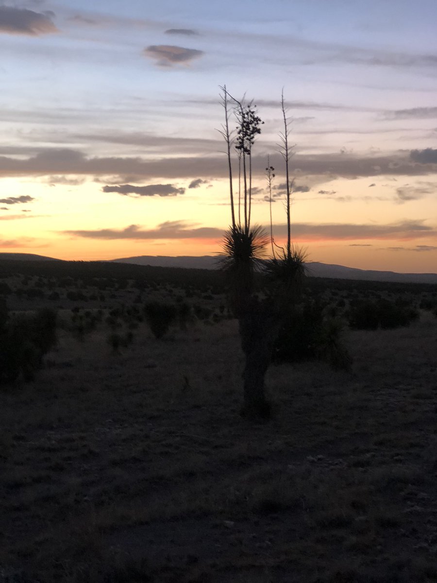 He asks if I’m staying in town and decides I probably am a tourist and says have a good night. I’d make a bad smuggler as I got pulled over my first scouting run out.