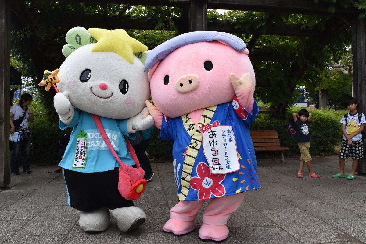 厚木市 あゆコロちゃん みんな 今日からゆるキャラグランプリの投票がはじまるよ ん 今年は ボクたちゆる党を代表してゆめちゃんが出馬するよ ゆめちゃん 一位目指して頑張ってね ゆるキャラグランプリ公式サイト T Co