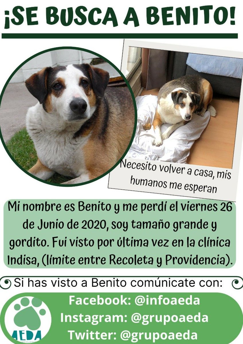 Benito sigue perdido!
Por favor ayúdanos difundiendo y si lo ves, reténlo y escríbenos!