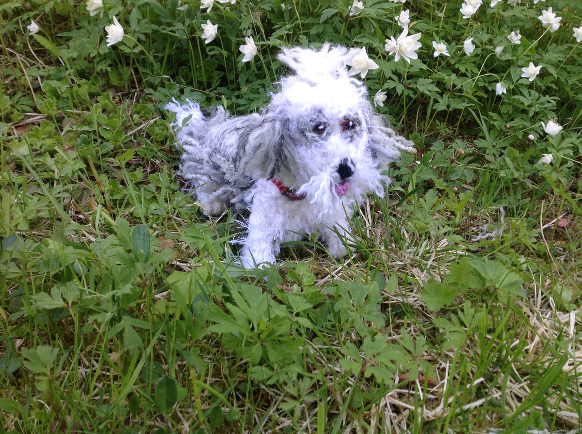 borderbears's tweet image. #oldenglishsheepdog 
mohair OES ten inches long £30 or $40 incl shippin