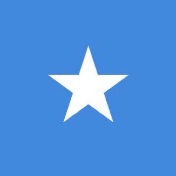 ashhm___'s tweet image. the face.                            the flag. 💙