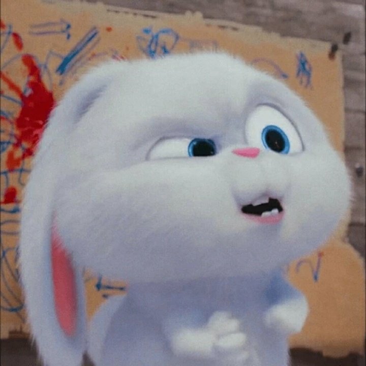 Pahayooow's tweet photo. Hii sweety, dah makan?
Kenalin aku Jjivanca prinzessin geulisia yoimono en lief, paggil jiji atau vanca.
Hwang Yeji as fc✧
Mutual? Rt, pembest? Dm boleh^^
Aku newbie mohon bantuannya 

#RPindo #roleplayer #roleplayerkpop #rpt #YEJI #rpkpop #roleplaykpop #rpw #itzy #rp https://t.co/U1jgSqruBL