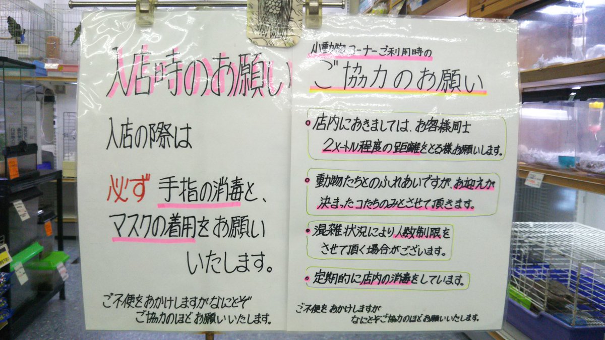 ペットランドスマイルズ港南台 Pet Land Smiles Twitter