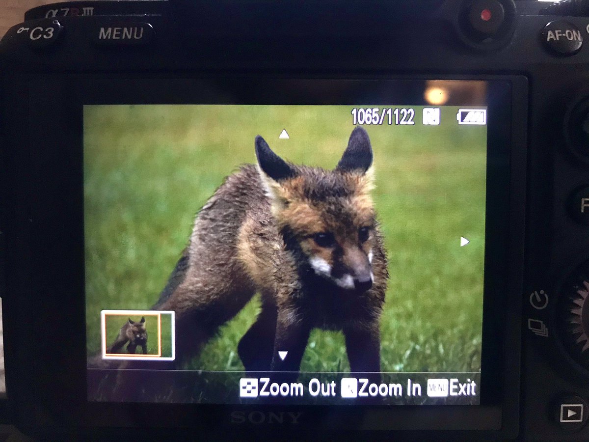 Darren Knight tweet media