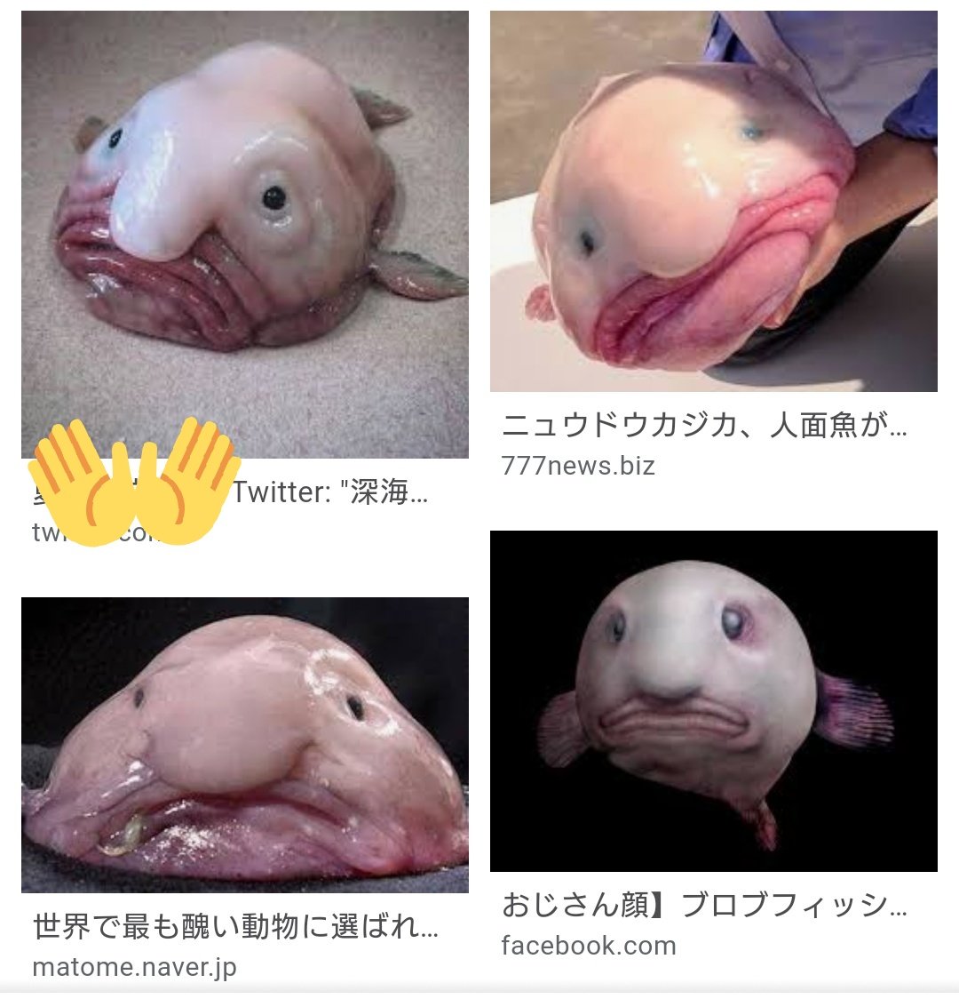 ノルナミン 元締垢 ニュウドウカジカ という魚でしたw