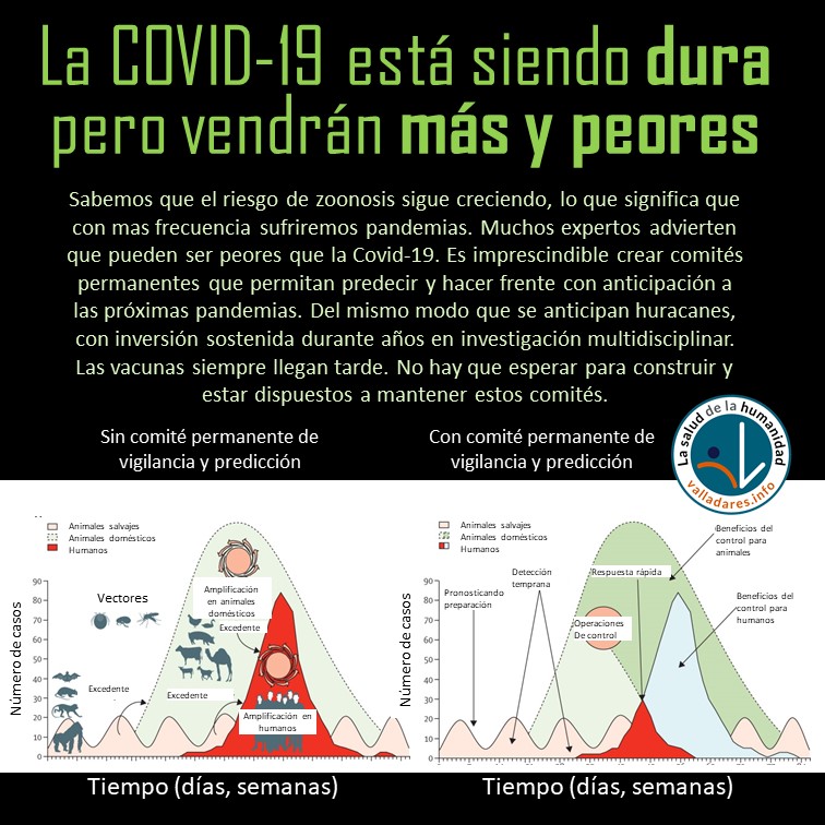 FernandoVallada's tweet photo. Vendrán mas pandemias y posiblemente peores que la COVID-19 tal como advierten expertos de salud en un reciente comunicado. La única opción es montar un comité permanente de observación y seguimiento para ganar tiempo y reducir riesgos
https://t.co/AiSgnLGh5Y 

#valladaresinfo https://t.co/4RLW1WdT9N