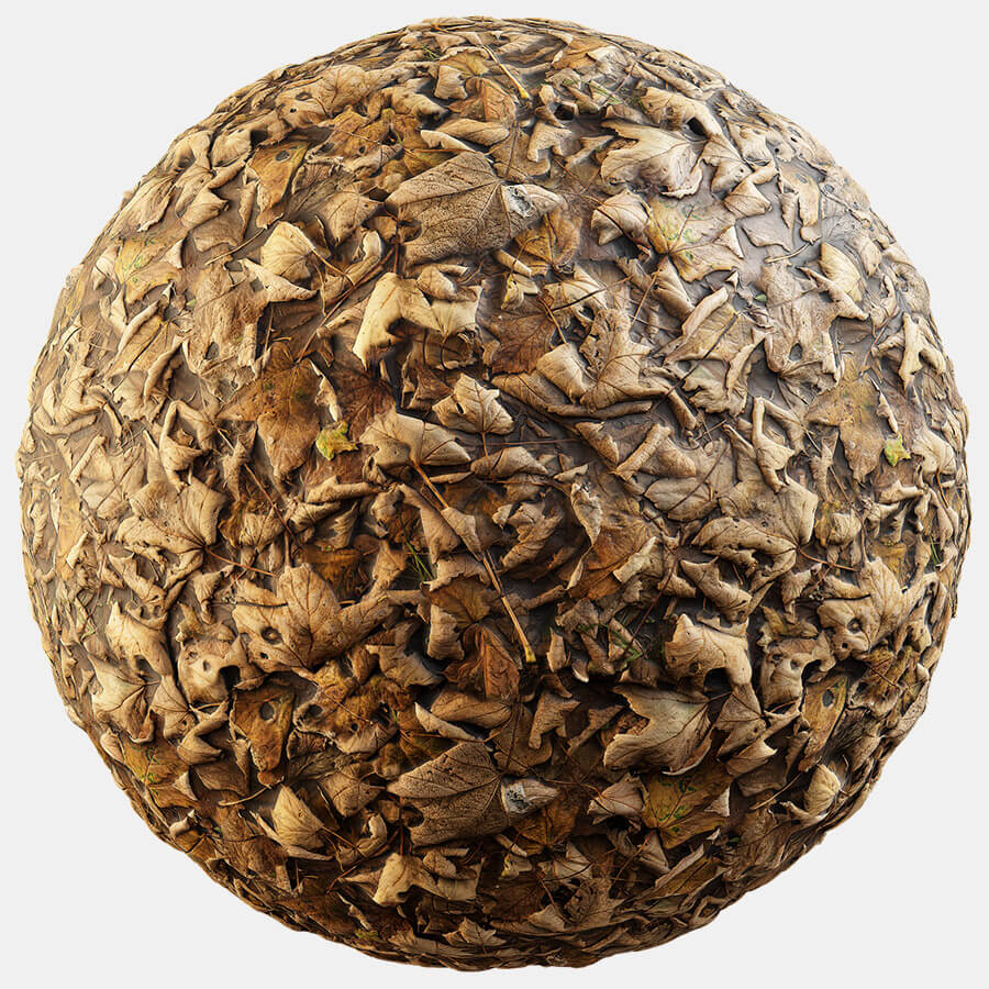 textureboxcom's tweet photo. Dry Leaves 01
New free pbr texture
https://t.co/LqDqtWzQxF
#freepbr #freetexture #freetexturedownload https://t.co/V4j90EPdYu