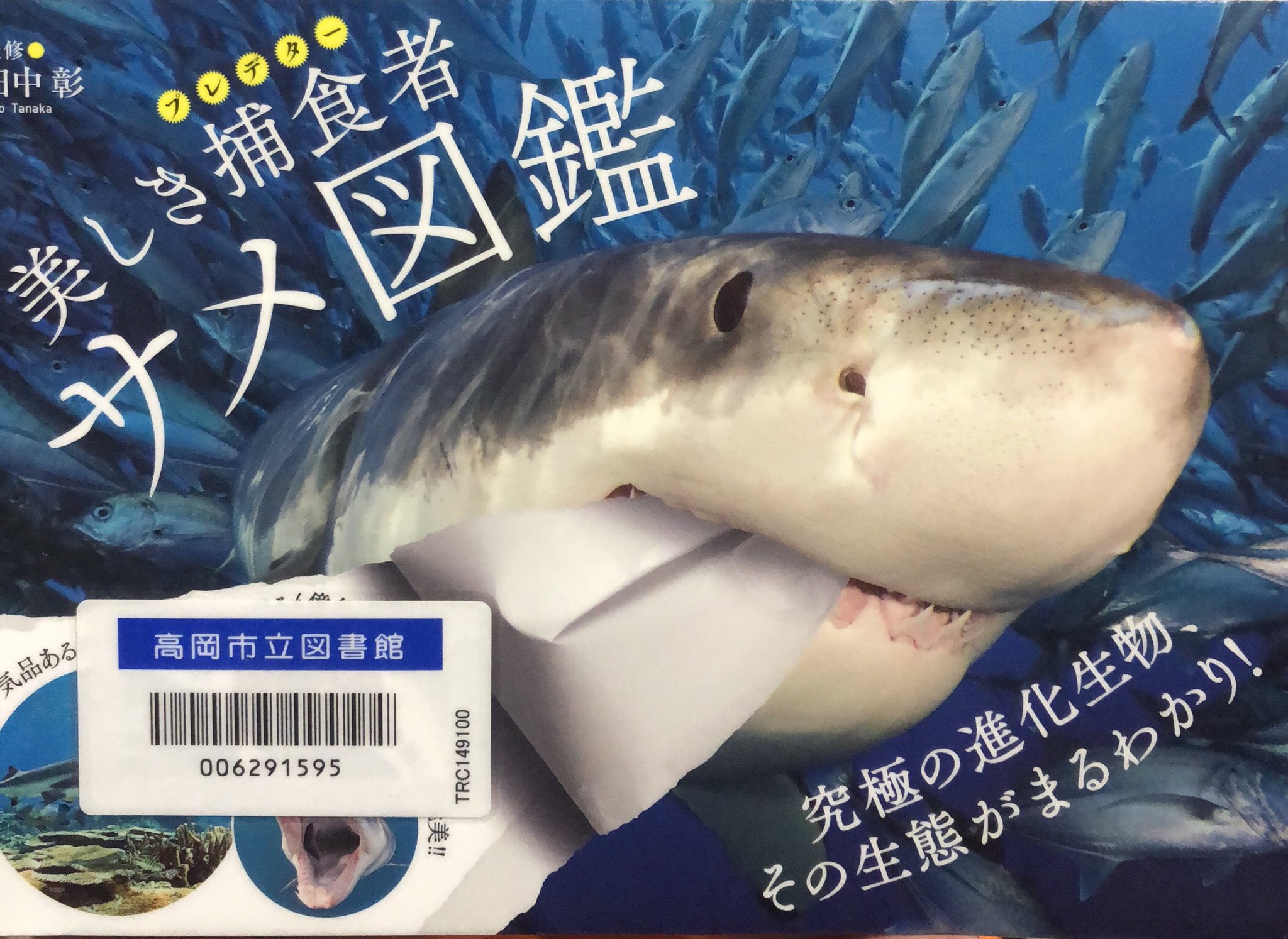 秋田猫 美しき捕食者 サメ図鑑 監修 田中彰 サメ界最強のアタッカー ホホジロザメ どうやって浮力を得ているのか メガマウス 海のゴミ箱 イタチザメ 全てのサメの中で最も危険 ヨゴレ 夜は仲間と一緒に大暴れ ネムリブカ 刺身でも シロザメ 生きた化石