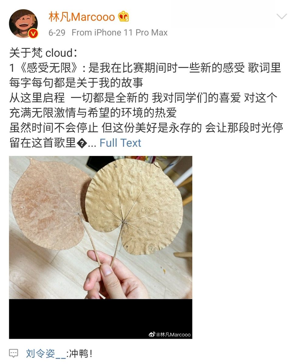 llingzis's tweet photo. [TRANS] Lingzi commented on Lin Fan's weibo post!

- Go!!!

linfan's weibo post is about the story behind her new song

#刘令姿 #LiuLingzi #林凡 #MacroLin https://t.co/rxQhYIR2ow