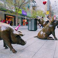 Head down to Rundle Mall on Friday 3 July to celebrate 21 years since the iconic bronze pigs were unveiled. 🐖 Don't miss out on free party treats from 12pm - 3pm! ow.ly/jTdx50AmvFl