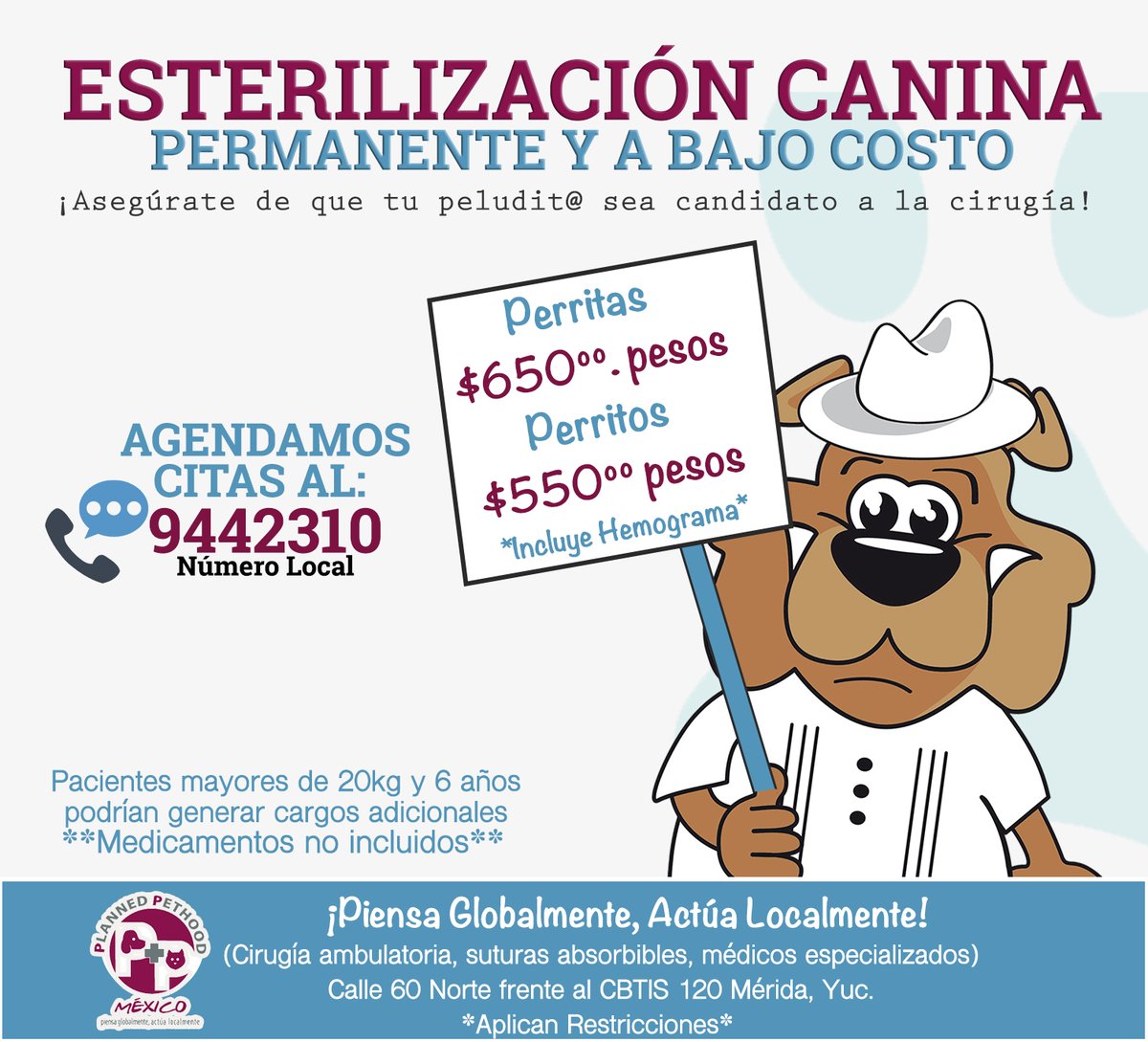 plannedpethood_'s tweet photo. #PPMNoticias En nuestro Hospital contamos #Farmacia para cuidar la salud de peluditx. 

 Planned Pethood México | Hospital #Veterinario  
Calle 60 Norte #Mérida, #Yucatán #México
Citas al 9442310 https://t.co/Kamwgt11j9 https://t.co/dGrn1w4Amu