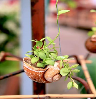 OrgUthhan's tweet photo. Beautiful Handmade Sea-Shell Wall Hanging Planter with Rope made by the Artisan from Tamil Nadu. Buy this from Uthhan eCommerce store: https://t.co/qaW3ch9048
#uthhan #handmade #shell #planter #handicraft #handcrafted #seashell #seashellplanter #decor #homedecor #wallhanging #TN https://t.co/2ROHi9hSsR