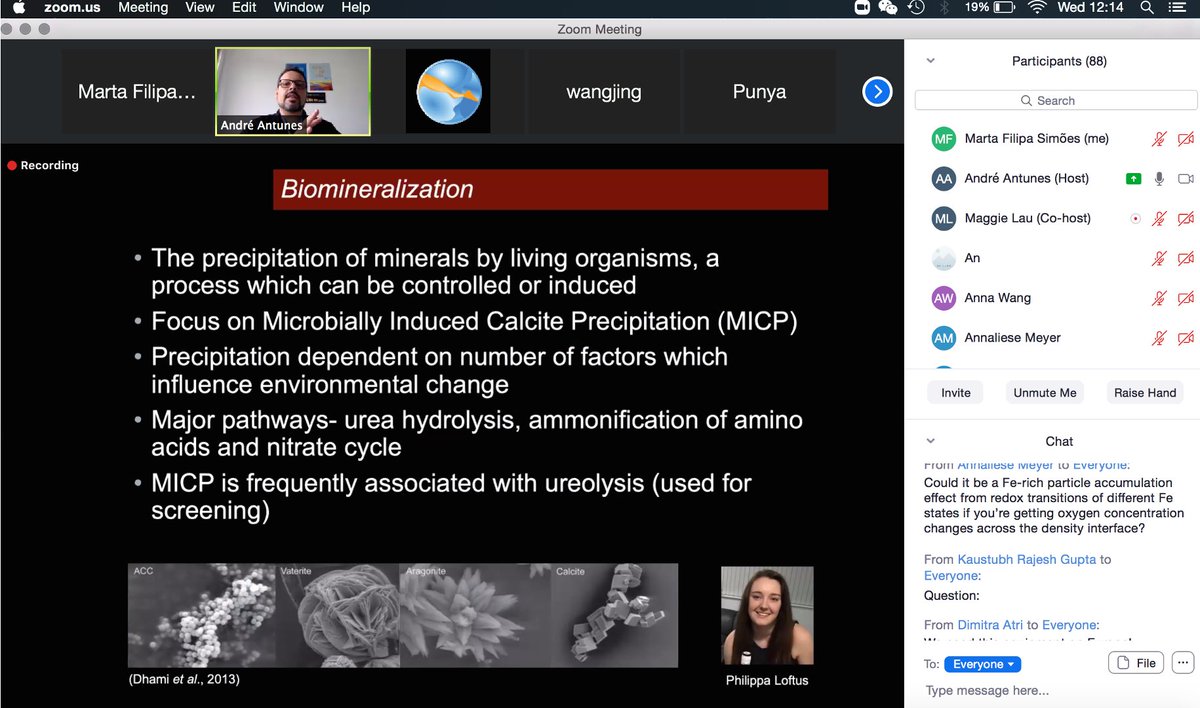 sklplanets's tweet photo. SKLPlanets is very happy to have hosted this week's #Astrobiology webinar of the #ASAP on "New Frontiers of Microbiology: #Brines, #Biominerals, and #Exooceans" by @ExtremophilesUK! Great attendance from researchers across the #Asia-#Pacific region. #Space #Microbiology #Macau https://t.co/duC7y3wUPz