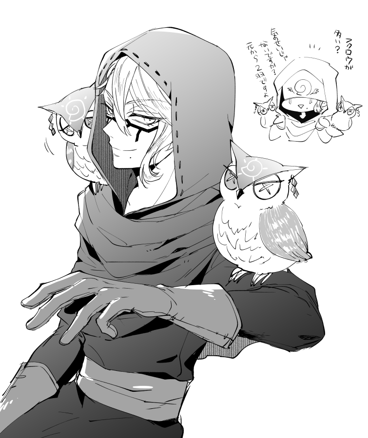 ※第五人格パロ注意  占い師?+双子? 
